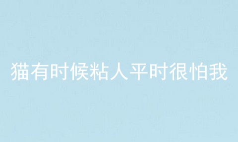 猫有时候粘人平时很怕我