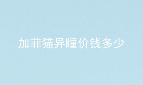 加菲猫异瞳价钱多少
