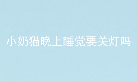 小奶猫晚上睡觉要关灯吗