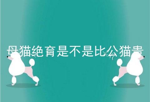 母猫绝育是不是比公猫贵