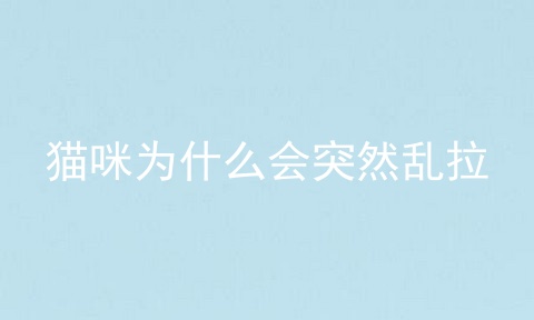 猫咪为什么会突然乱拉