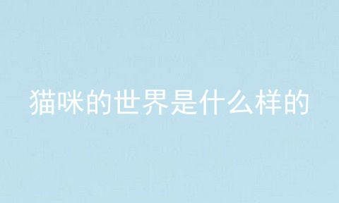 猫咪的世界是什么样的