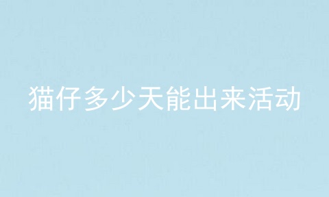 猫仔多少天能出来活动