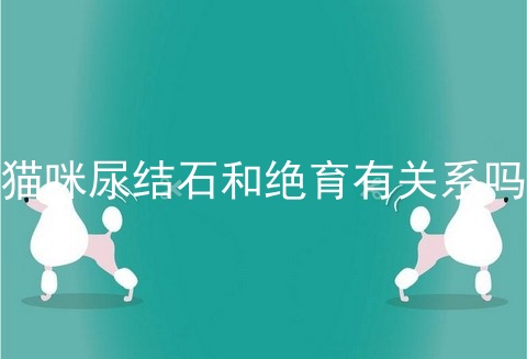猫咪尿结石和绝育有关系吗