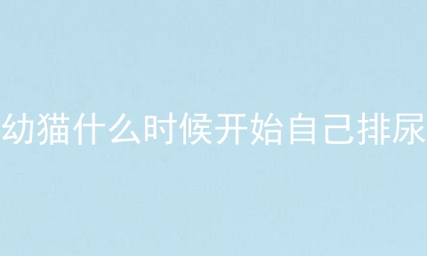 幼猫什么时候开始自己排尿