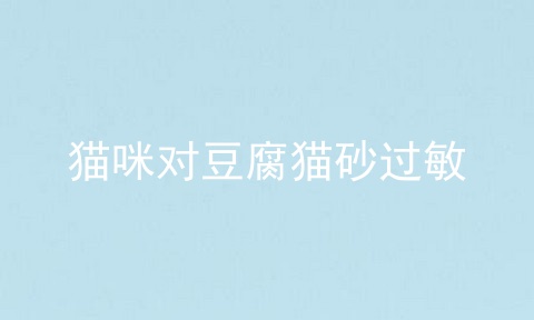 猫咪对豆腐猫砂过敏