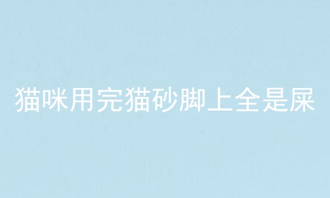 猫咪用完猫砂脚上全是屎