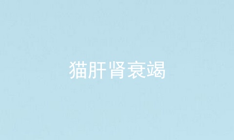 猫肝肾衰竭