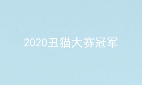 2020丑猫大赛冠军