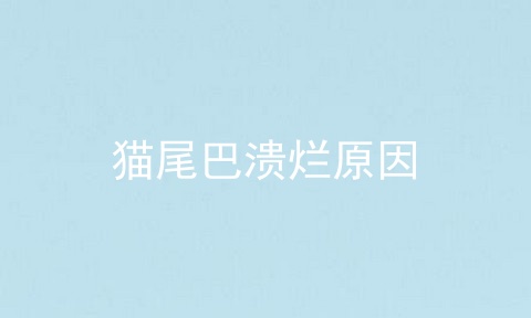 猫尾巴溃烂原因
