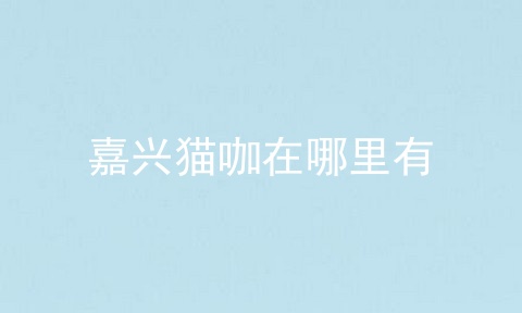 嘉兴猫咖在哪里有
