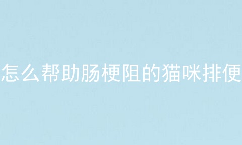 怎么帮助肠梗阻的猫咪排便