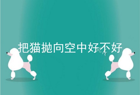 把猫抛向空中好不好