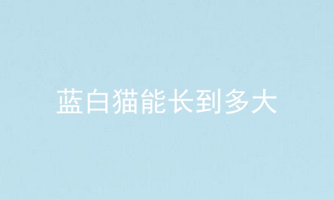 蓝白猫能长到多大
