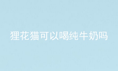 狸花猫可以喝纯牛奶吗