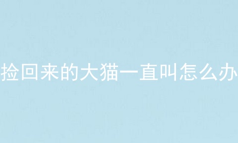 捡回来的大猫一直叫怎么办