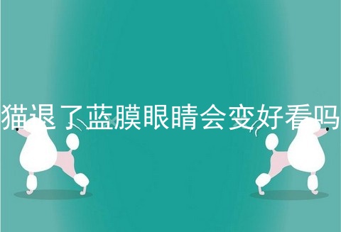 猫退了蓝膜眼睛会变好看吗