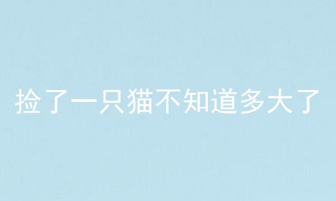捡了一只猫不知道多大了