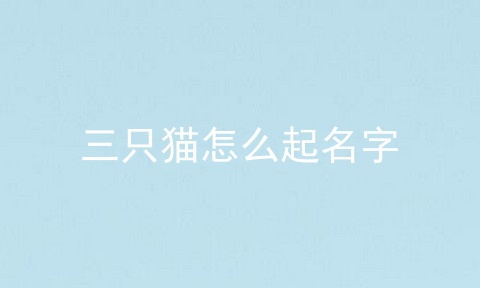 三只猫怎么起名字