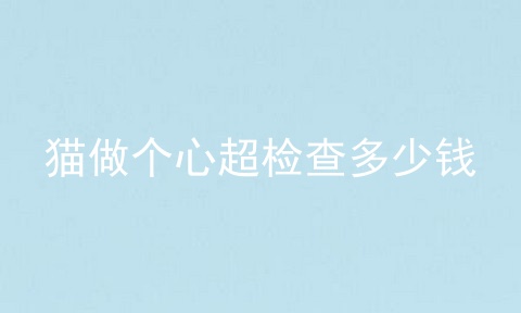 猫做个心超检查多少钱