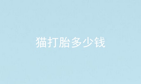 猫打胎多少钱