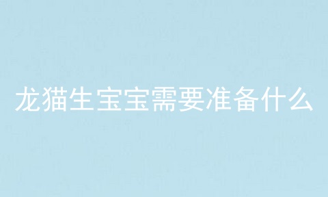 龙猫生宝宝需要准备什么