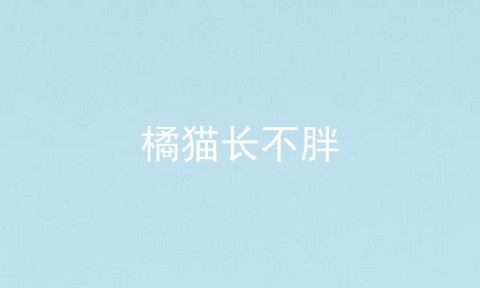 橘猫长不胖