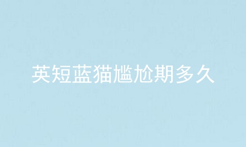 英短蓝猫尴尬期多久