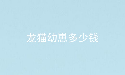 龙猫幼崽多少钱