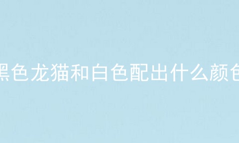 黑色龙猫和白色配出什么颜色