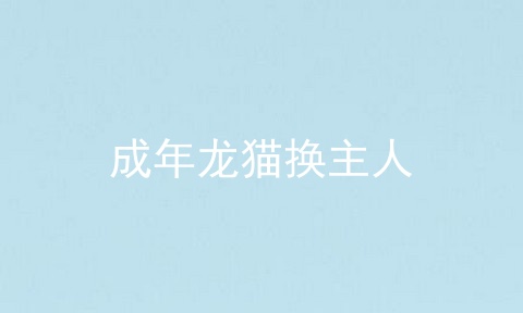 成年龙猫换主人