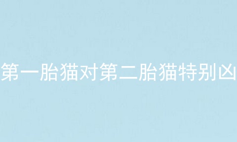 第一胎猫对第二胎猫特别凶