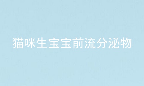 猫咪生宝宝前流分泌物