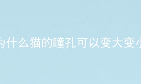 为什么猫的瞳孔可以变大变小