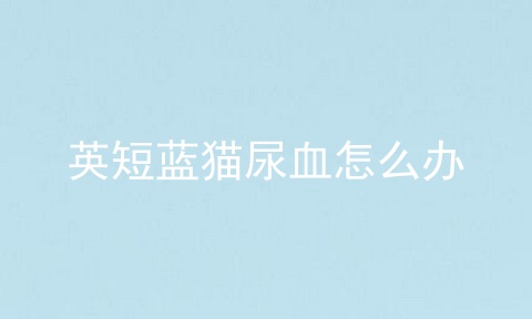 英短蓝猫尿血怎么办