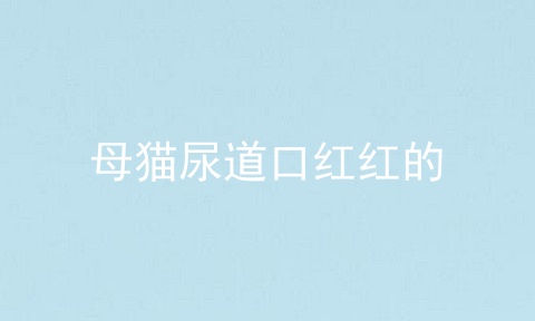 母猫尿道口红红的