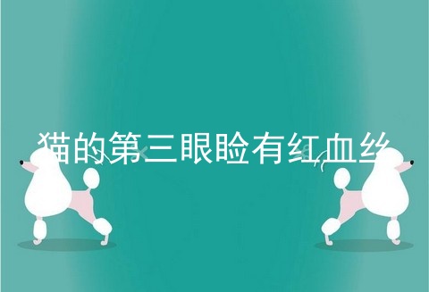 猫的第三眼睑有红血丝