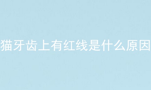 猫牙齿上有红线是什么原因