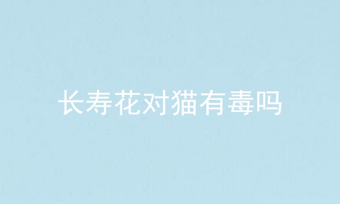长寿花对猫有毒吗