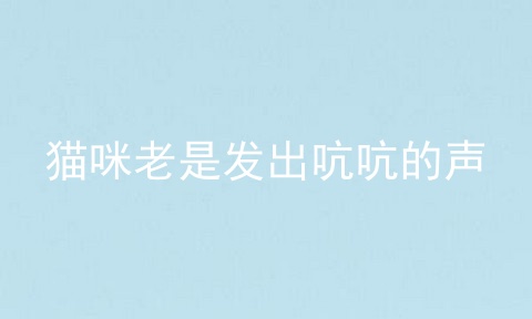 猫咪老是发出吭吭的声