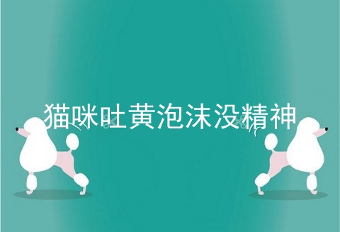 猫咪吐黄泡沫没精神