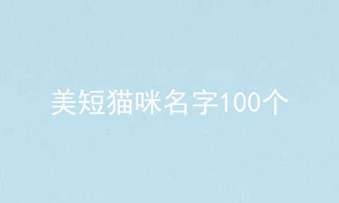 美短猫咪名字100个