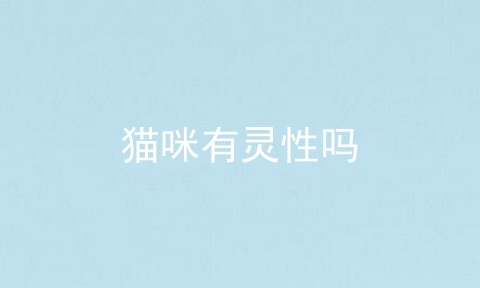 猫咪有灵性吗
