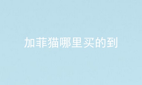 加菲猫哪里买的到