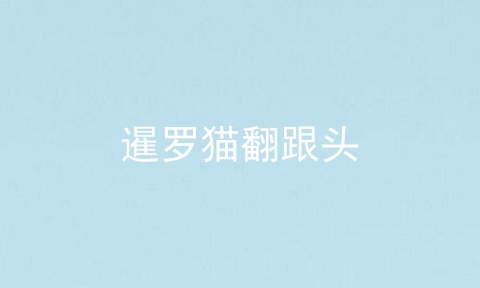 暹罗猫翻跟头