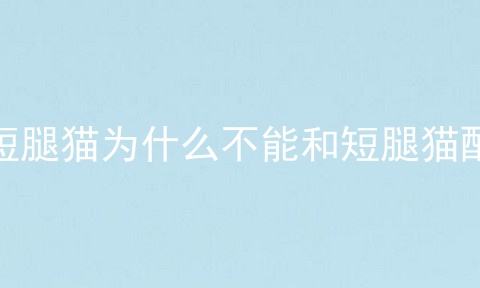 短腿猫为什么不能和短腿猫配