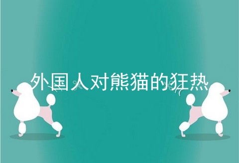 外国人对熊猫的狂热
