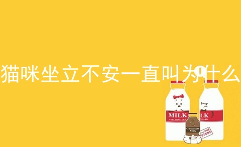 猫咪坐立不安一直叫为什么