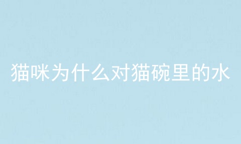 猫咪为什么对猫碗里的水