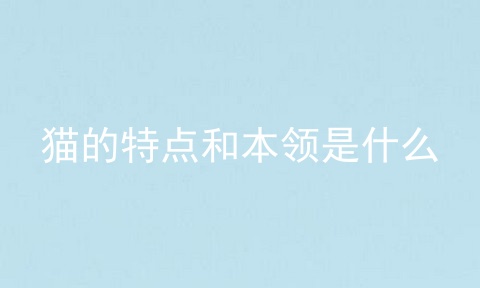 猫的特点和本领是什么